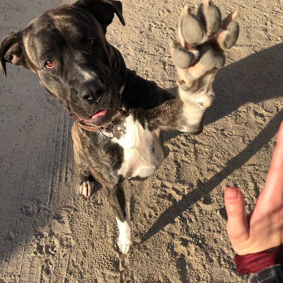 Meet your Seller/Buyer/Trader🖤 - Picture 2 of 4